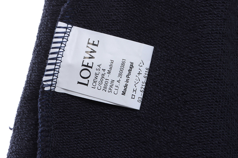 Loewe color contrast panel shorts