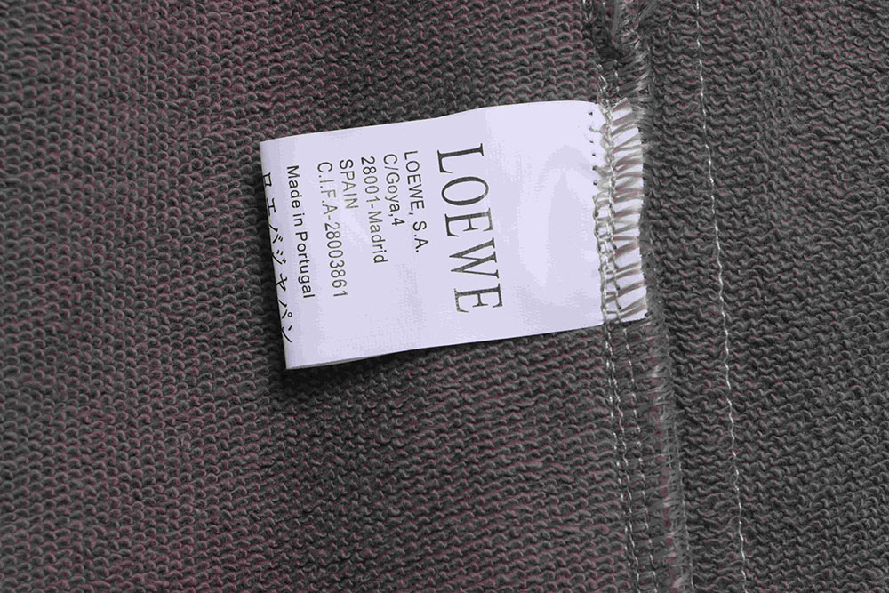 Loewe paneled embroidered webbing shorts