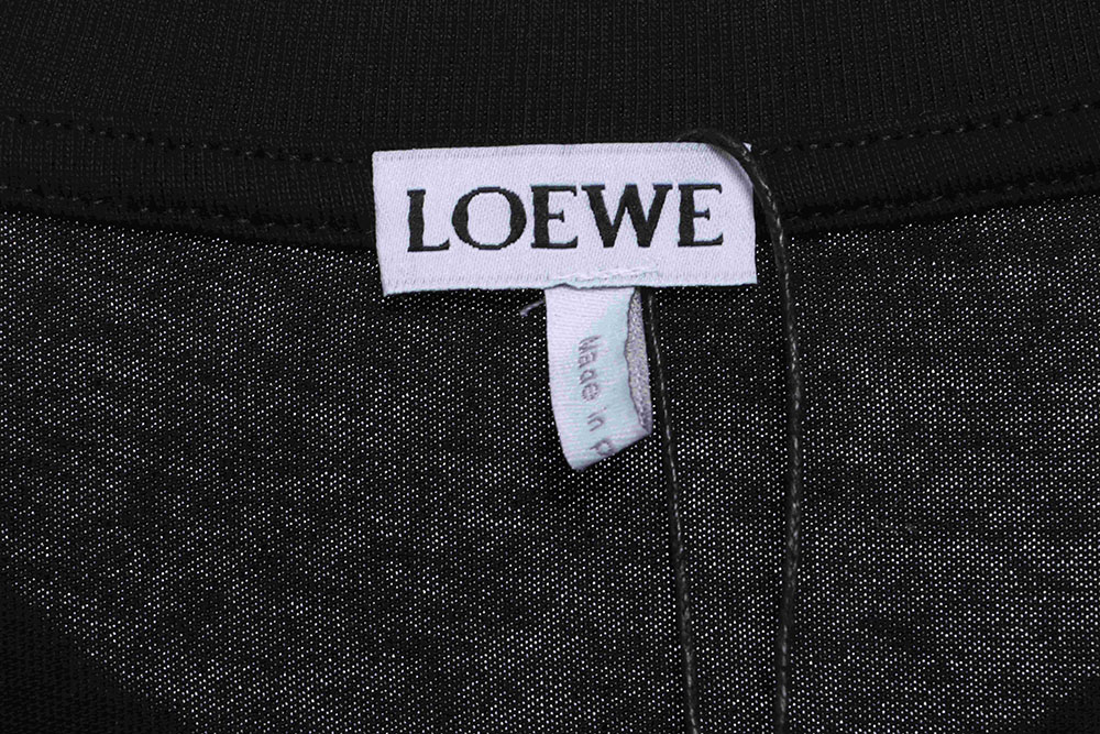Loewe My Neighbor Totoro Series Color Printing Embroidered Short Sleeve TSK1