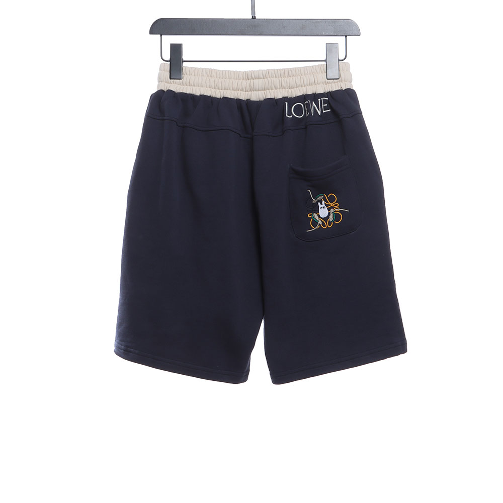 Loewe color contrast panel shorts