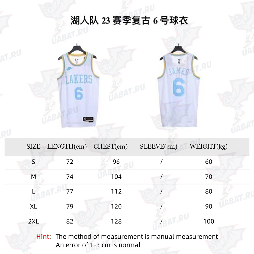 Lakers 23 season retro No. 6 jersey