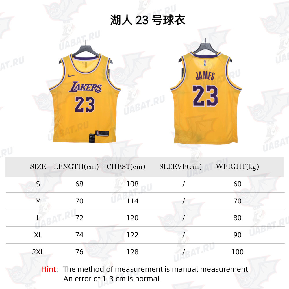 James Lakers home jersey No. 23