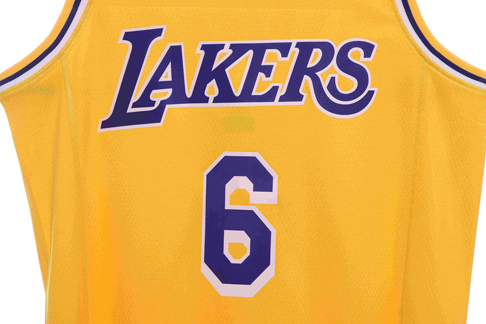 Lakers James James No. 6 jersey