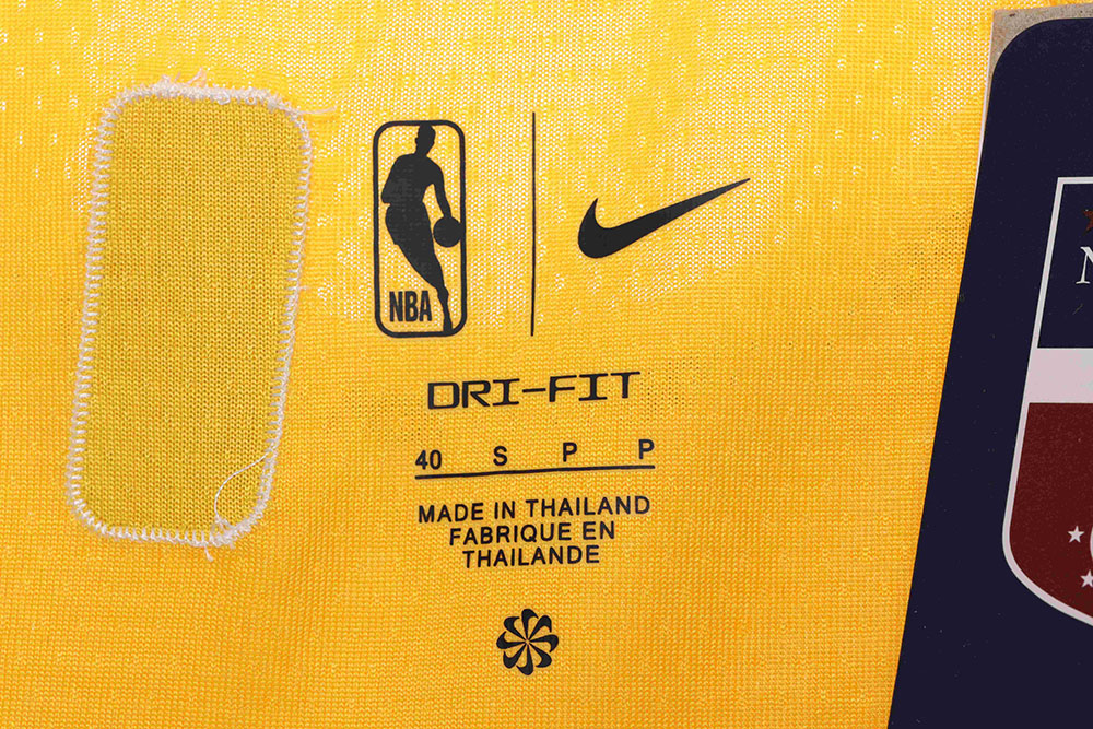 Lakers James James No. 6 jersey