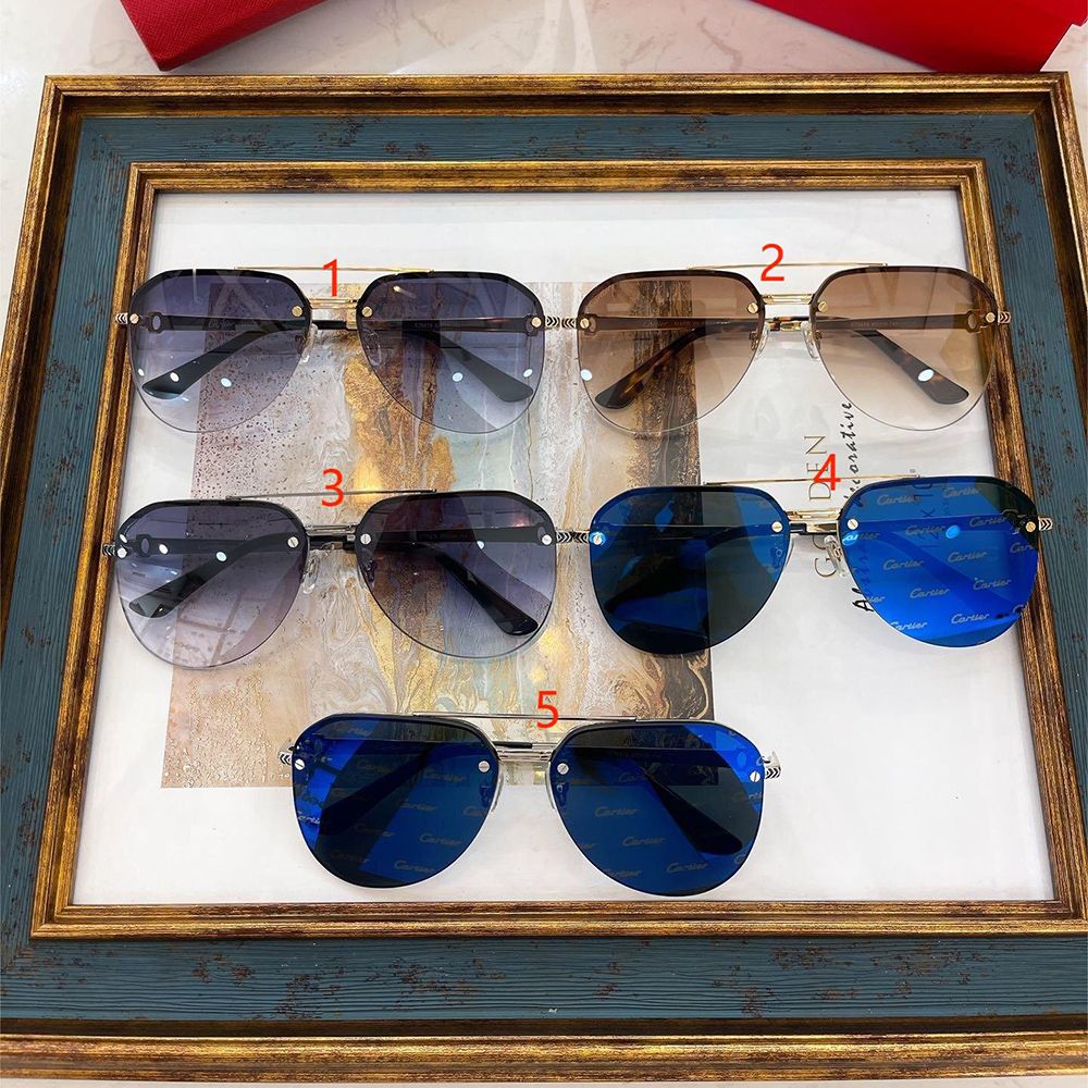 CARTIER GLASSES CT0476