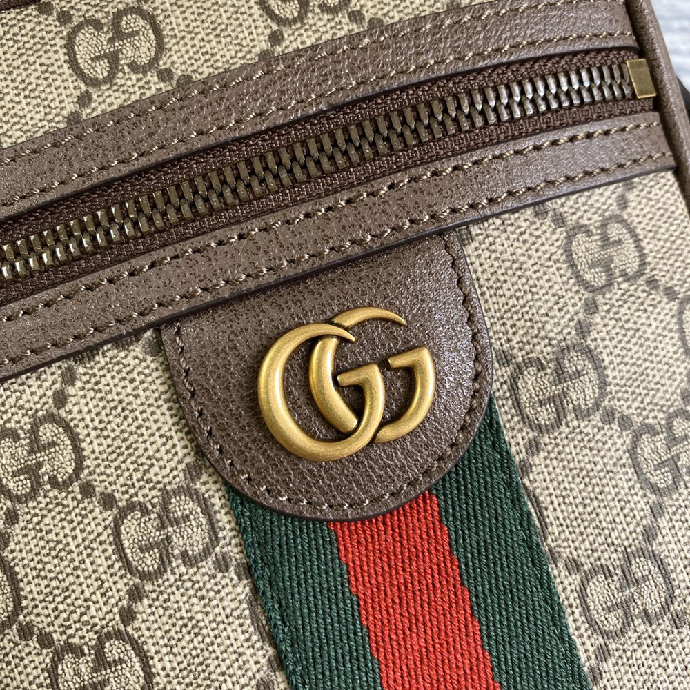 Gucci Bags 598127 14*17.5*5.5cm