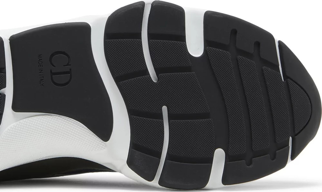 Dior B22 