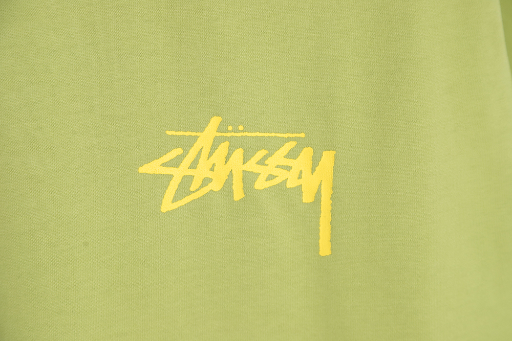 Stussy Sorcerer graphic print short sleeves