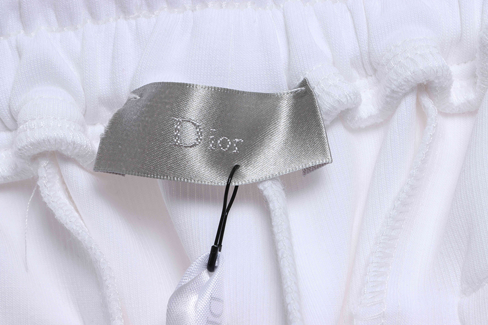 Dior PARIS runway shorts