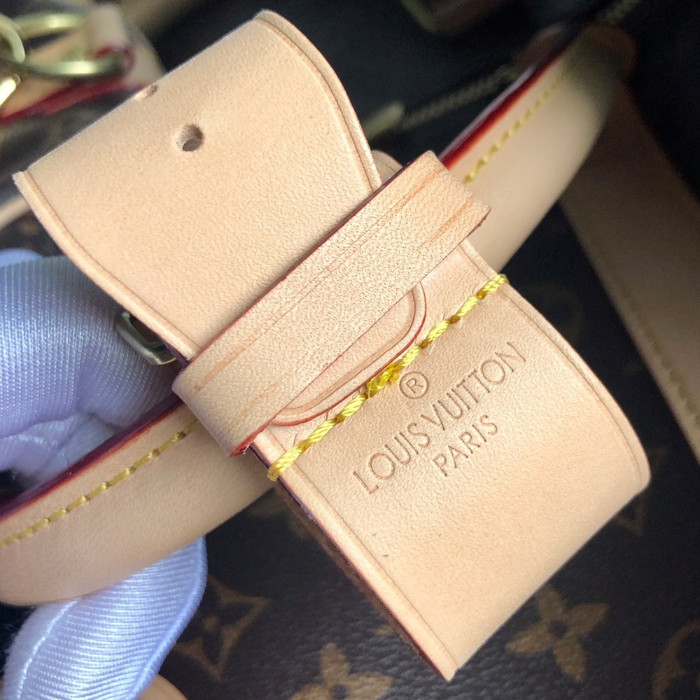 Louis Vuitton Bags