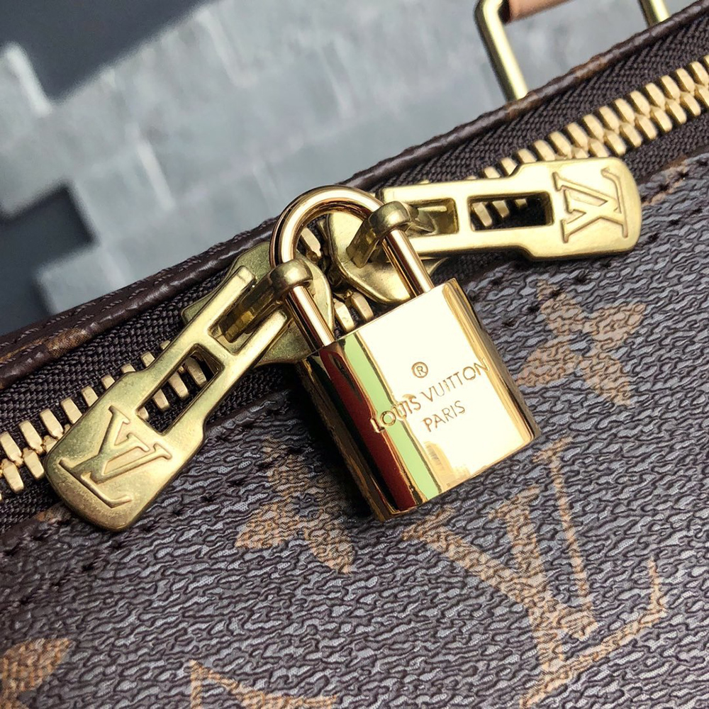 Louis Vuitton Bags