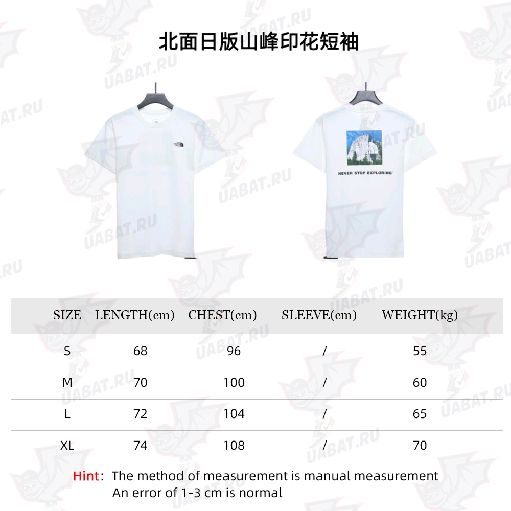 North Face Japanese Edition Mountain Print Short Sleeves