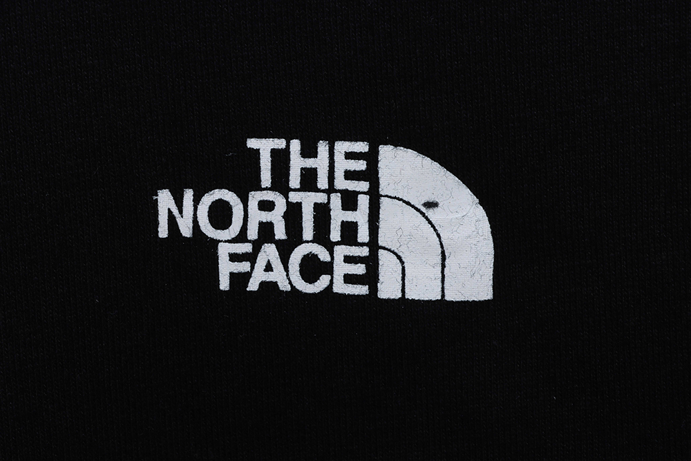 North Face Japanese Edition Mountain Print Short Sleeve TSK1