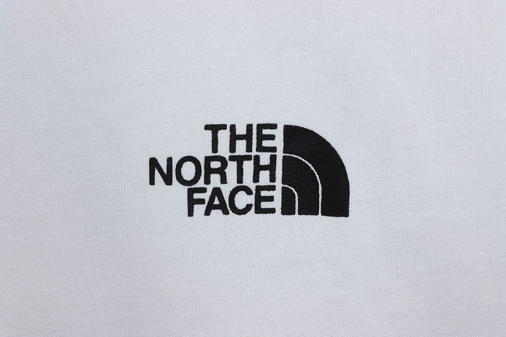 North Face Japanese Edition Mountain Print Short Sleeves