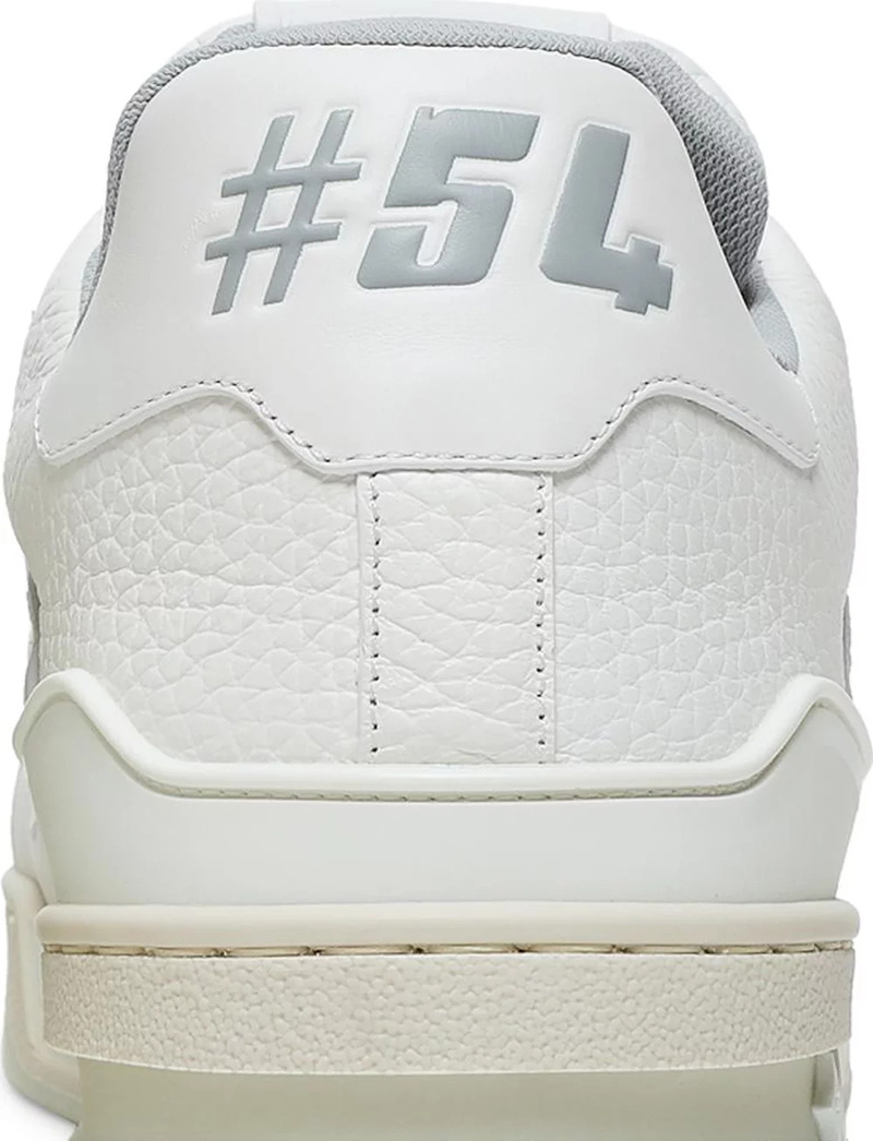 Louis Vuitton Trainer Low 