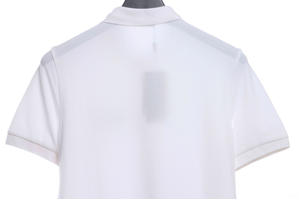 Jordan joint Dior flying wing embroidery POLOTSK1