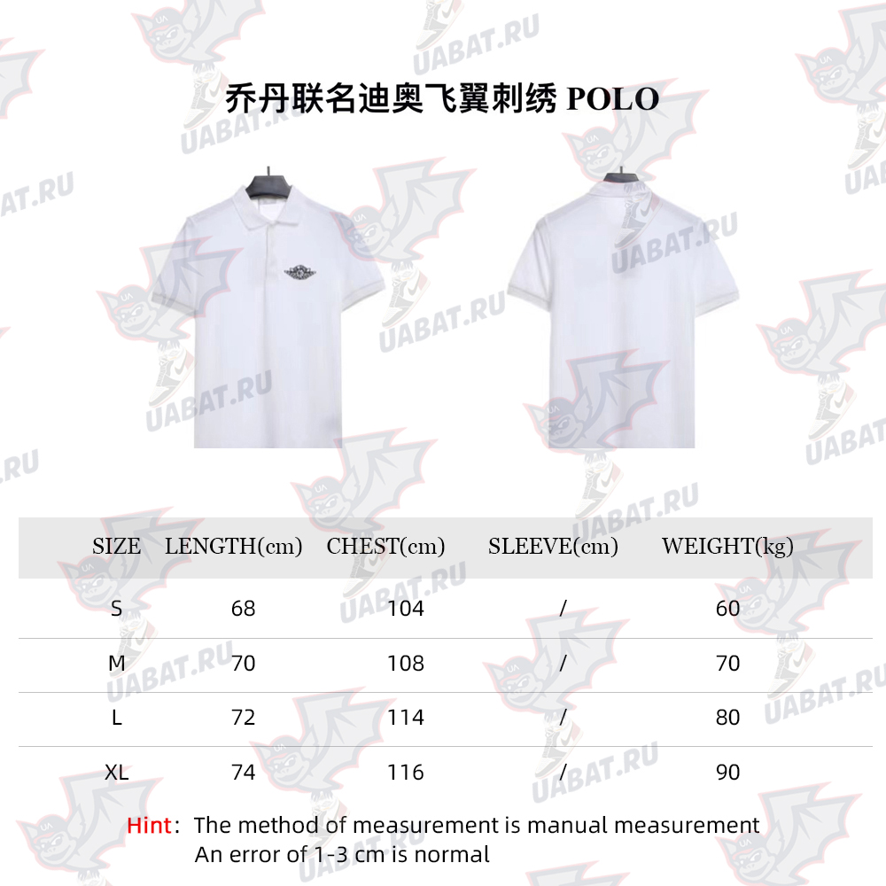 Jordan joint Dior flying wing embroidery POLOTSK1