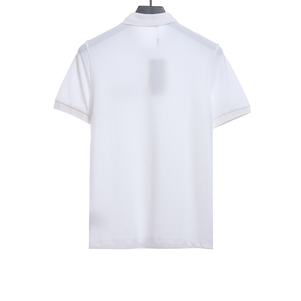 Jordan joint Dior flying wing embroidery POLOTSK1