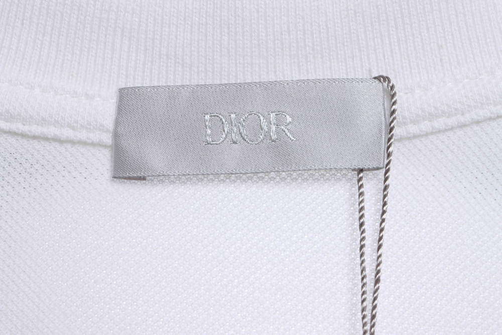 Jordan joint Dior flying wing embroidery POLOTSK1