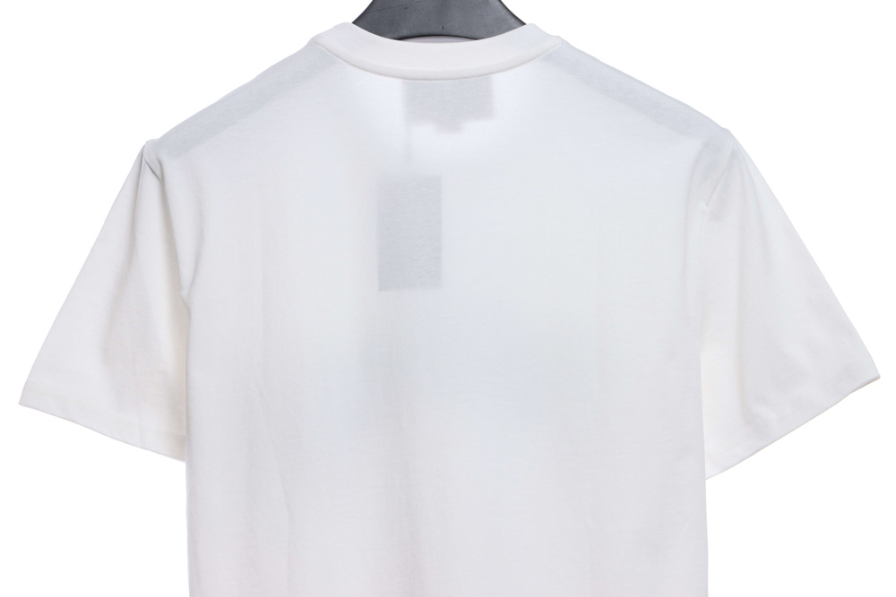 Gucci Joint Balenciaga Irregular Embroidery Short Sleeve TSK2