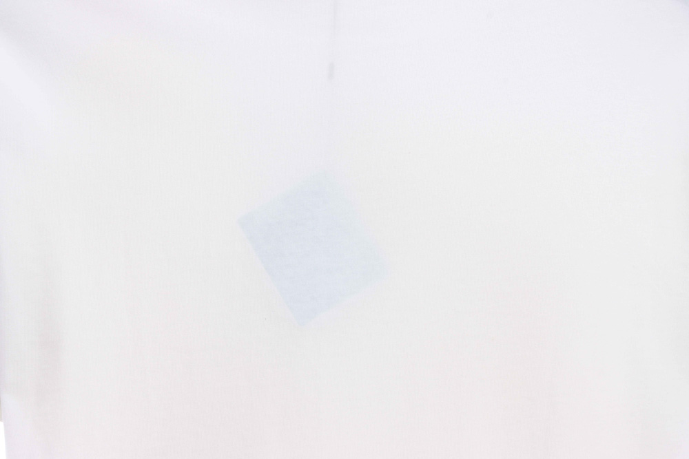 Loewe floral embroidery short sleeves