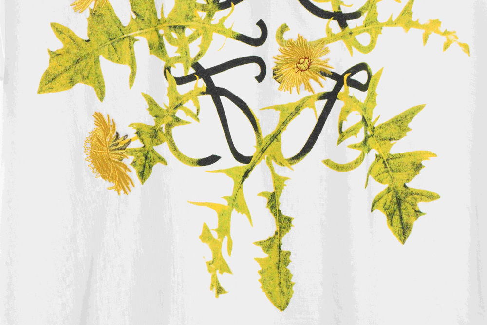 Loewe floral embroidery short sleeves