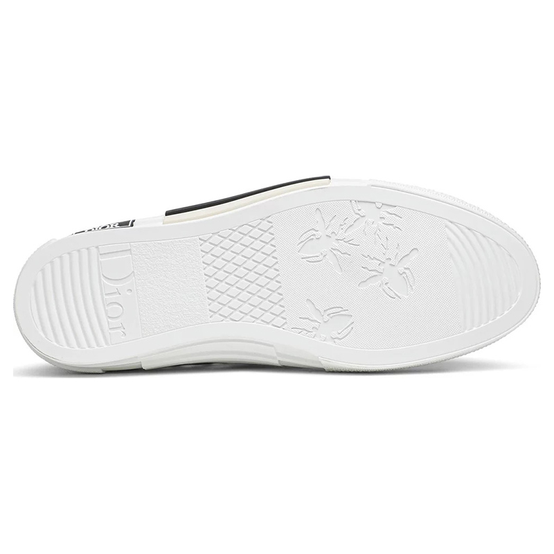 Dior B23 Low 