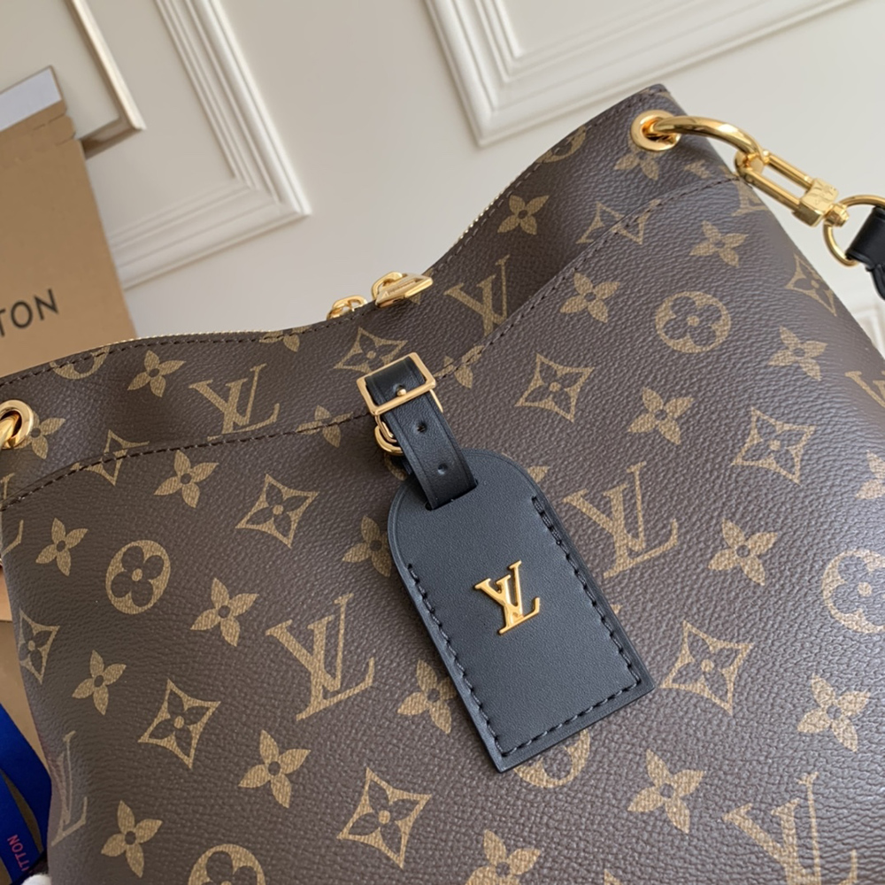 Louis Vuitton Bags M45353 28*25*9cm