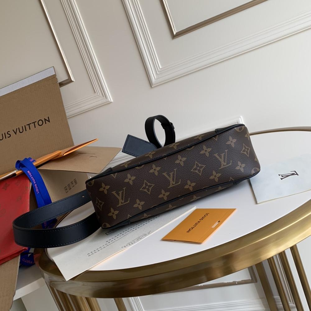 Louis Vuitton Bags M45353 28*25*9cm