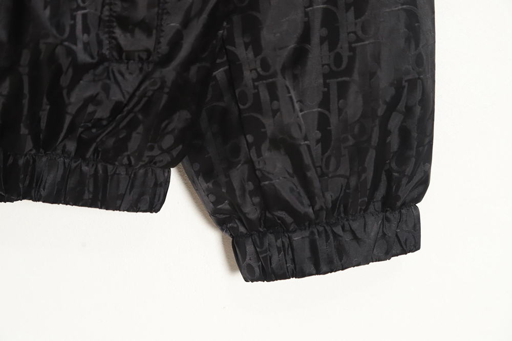 Dior silk allover jacquard zip hooded jacket