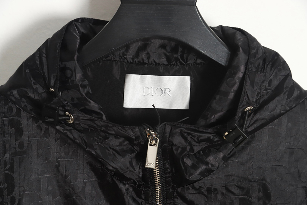 Dior silk allover jacquard zip hooded jacket