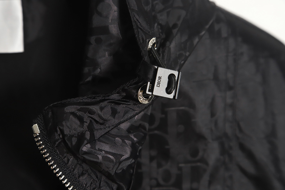 Dior silk allover jacquard zip hooded jacket