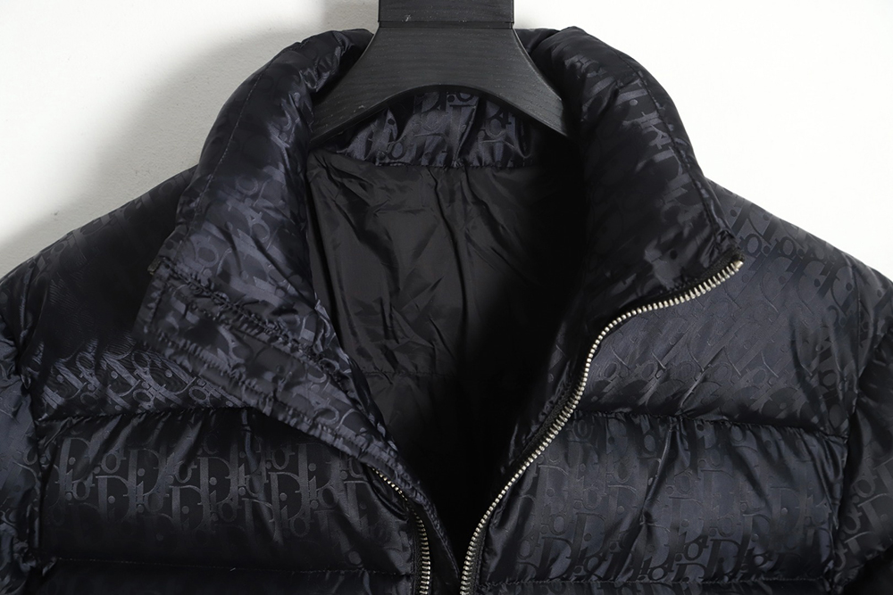 Dior 20FW all over printed dark pattern presbyopic down jacket