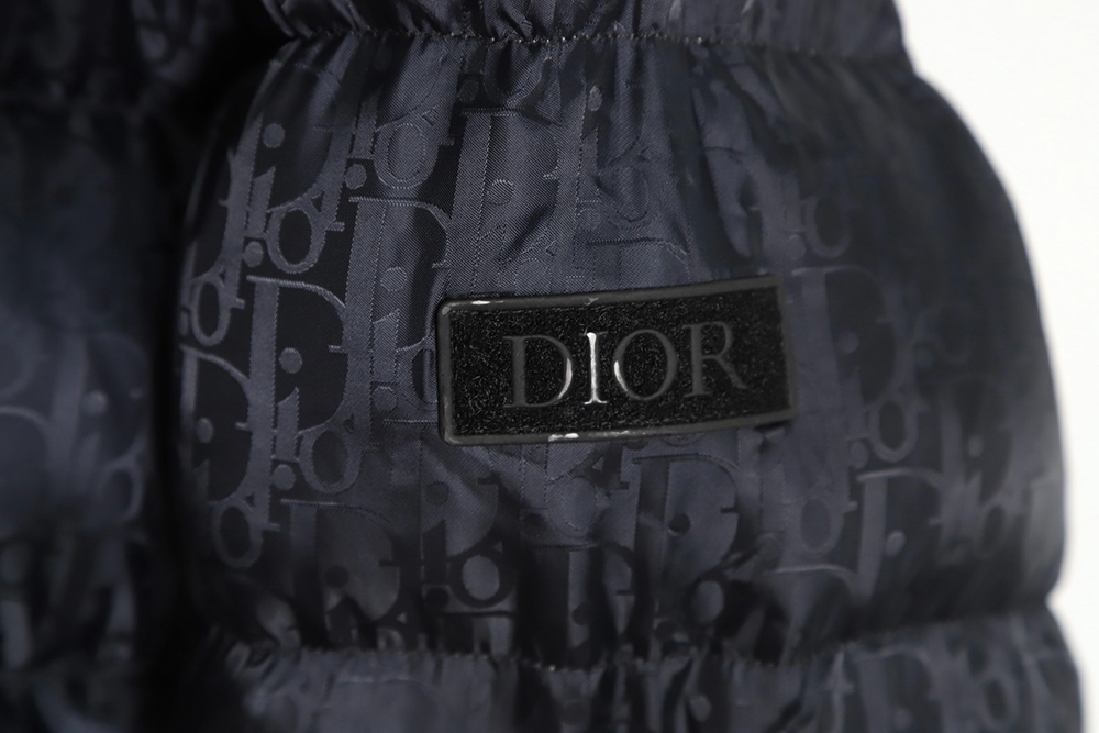 Dior 20FW all over printed dark pattern presbyopic down jacket