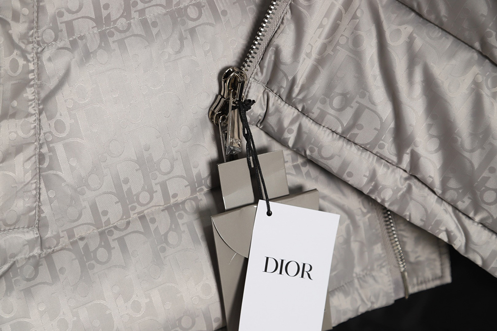 Dior 20FW all over printed dark pattern presbyopic down jacket
