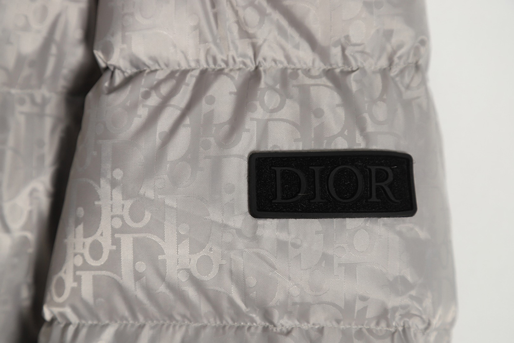 Dior 20FW all over printed dark pattern presbyopic down jacket