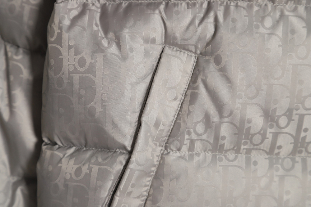 Dior 20FW all over printed dark pattern presbyopic down jacket