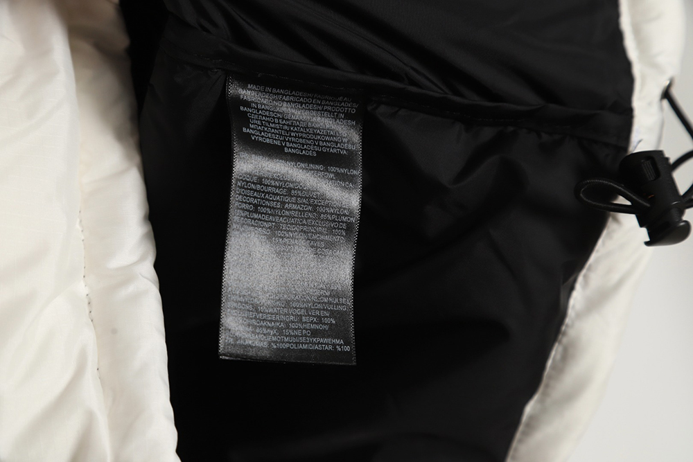 The North Face 1996 Nuptse classic down jacket