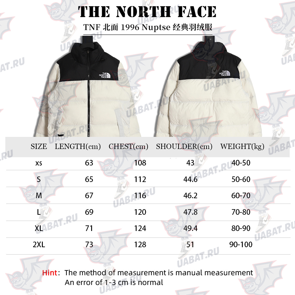 The North Face 1996 Nuptse classic down jacket
