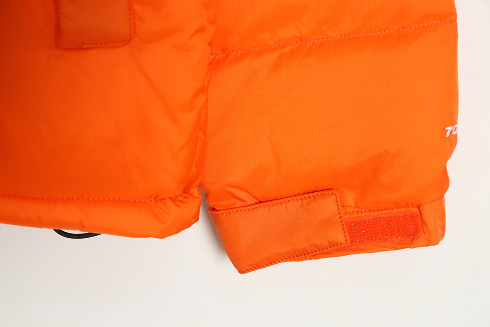 The North Face 1996 Nuptse classic down jacket