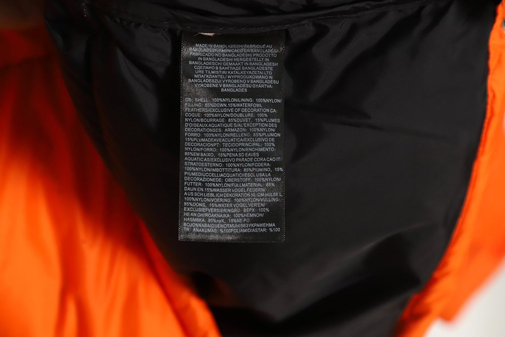 The North Face 1996 Nuptse classic down jacket