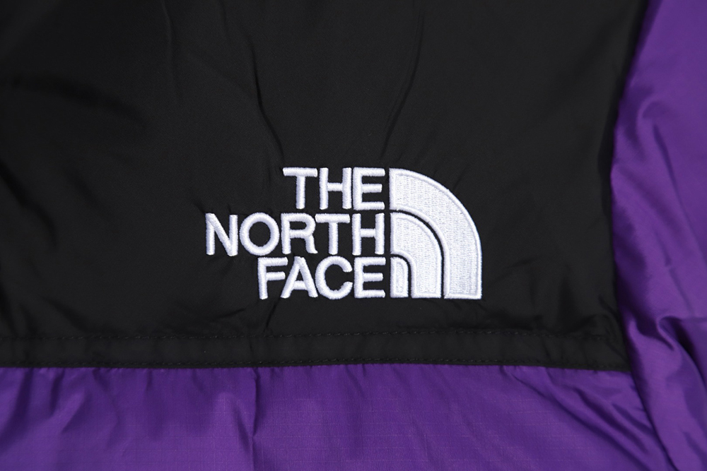 The North Face 1996 Nuptse classic down jacket