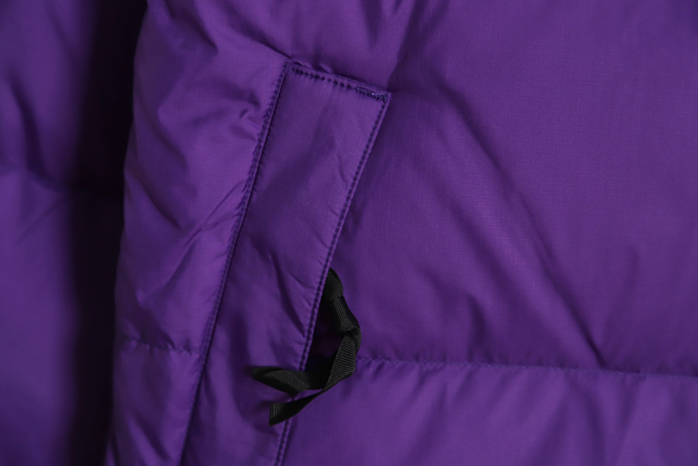 The North Face 1996 Nuptse classic down jacket