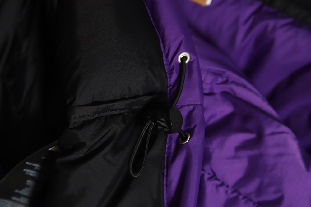 The North Face 1996 Nuptse classic down jacket