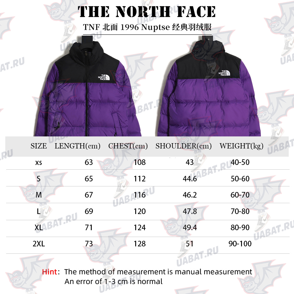 The North Face 1996 Nuptse classic down jacket