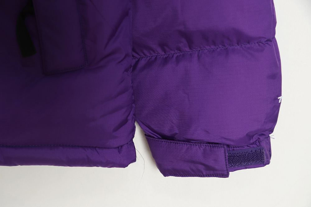 The North Face 1996 Nuptse classic down jacket
