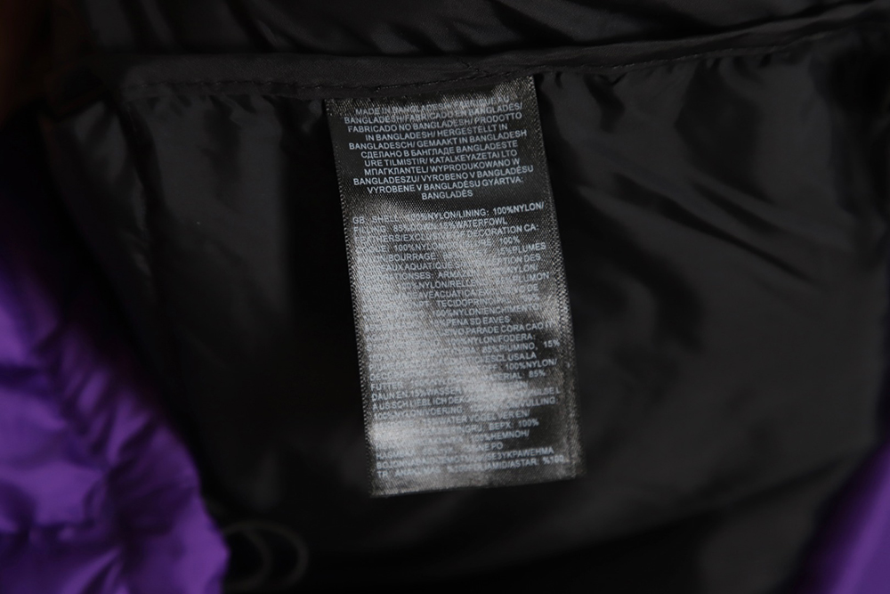 The North Face 1996 Nuptse classic down jacket