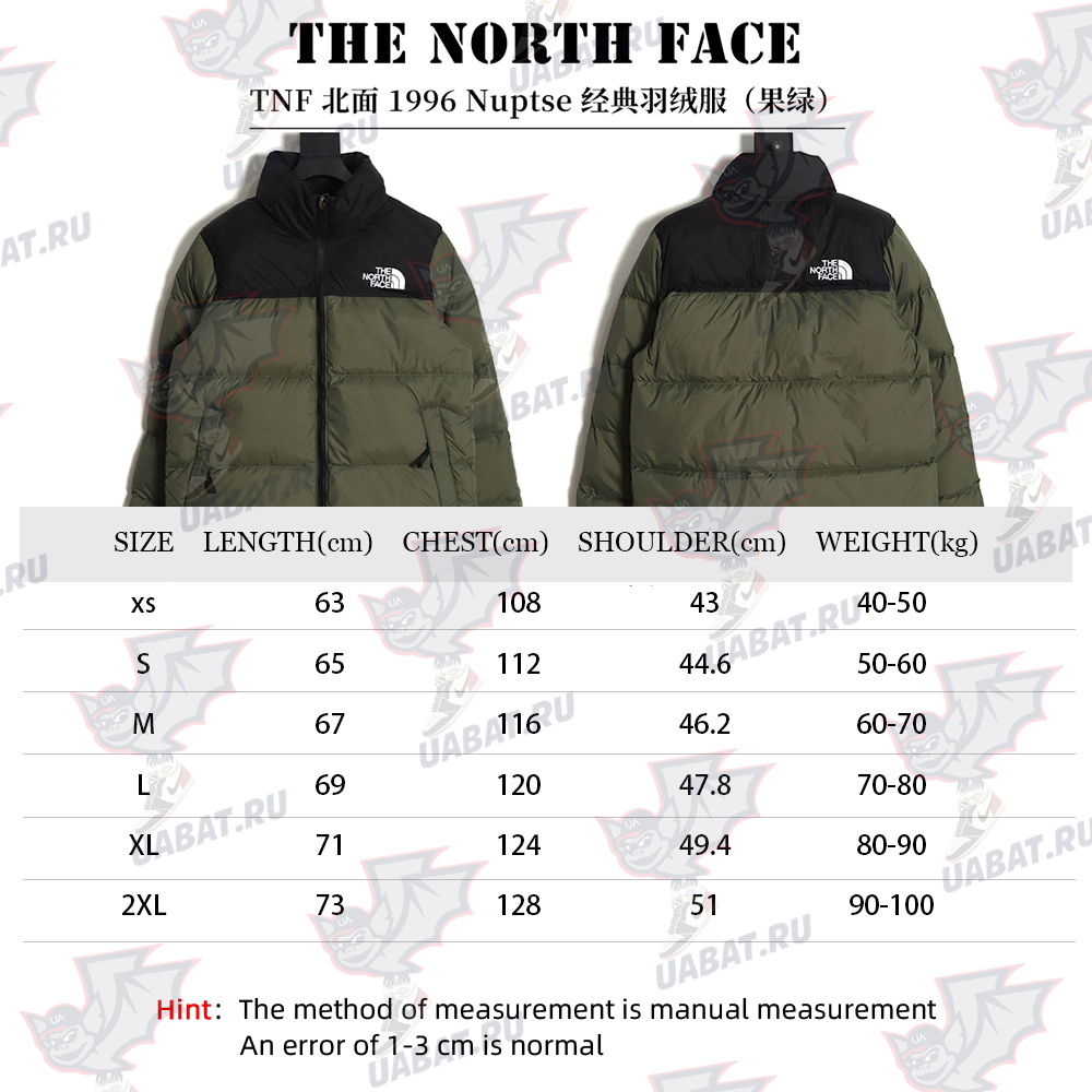 The North Face 1996 Nuptse classic down jacket