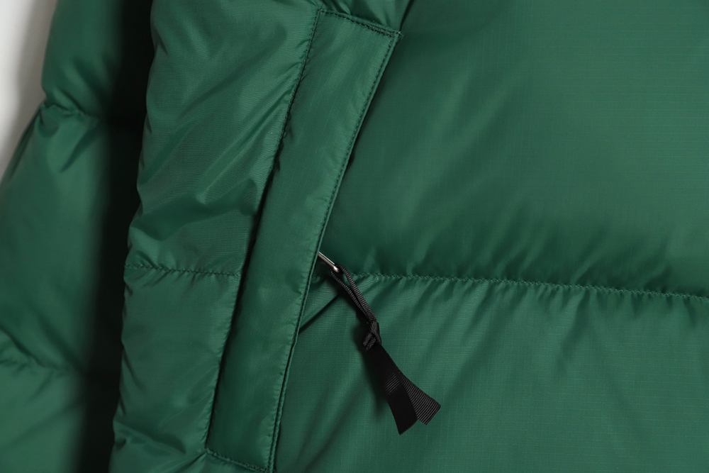 The North Face 1996 Nuptse classic down jacket