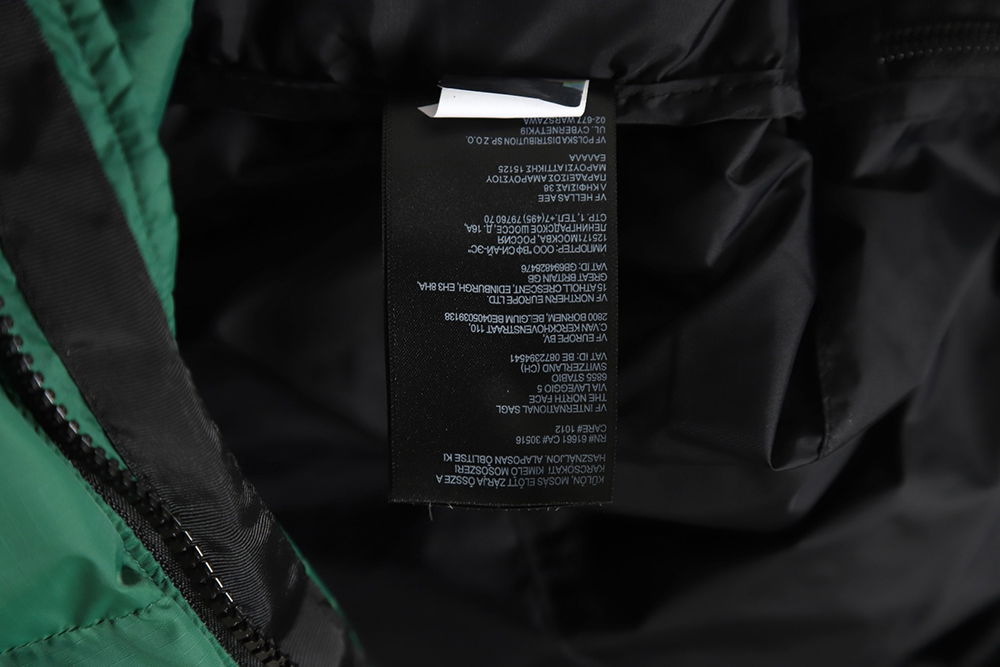 The North Face 1996 Nuptse classic down jacket
